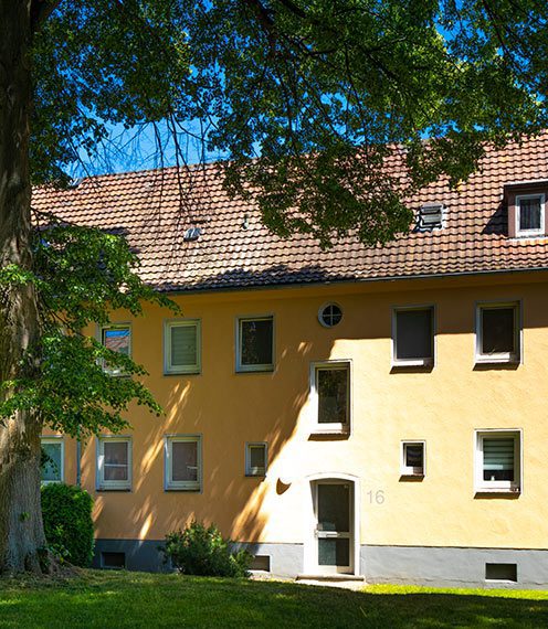 Das Foto zeigt ein Mehrfamilienhaus in Kassel. Dieses liegt an einer Grünfläche mit einem beschattenden Baum.